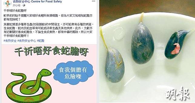 食物安全中心facebook提醒，無論生食或煮熟的蛇膽，同樣有中毒風險。（食物安全中心facebook截圖／資料圖片／明報製圖）