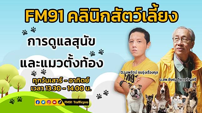 ​การดูแลสุนัขและแมวตั้งท้อง : FM91 คลินิกสัตว์เลี้ยง : 16 กรกฎาคม 2565