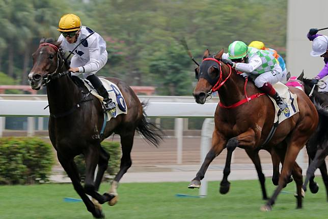 Golden Sixty dashes clear to win at Sha Tin this season. Photos: Kenneth Chan