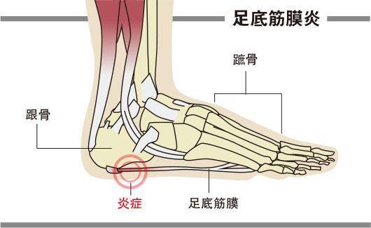 （明報製圖）