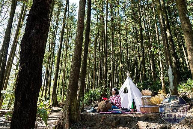 「森窯have a Picnic」後方是一片美麗樹林，適合在此野餐、放空一整個下午。