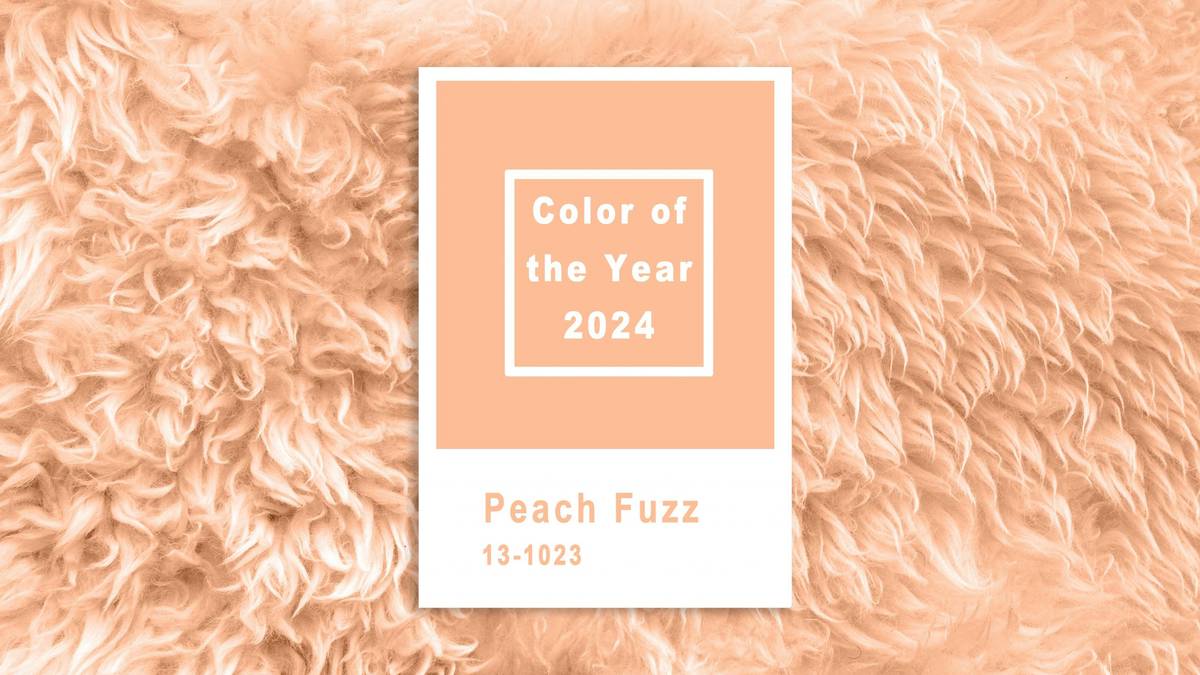 Color of The Year ส่งผลต่อธุรกิจยังไง แล้วทำไม Pantone ถึงมีอิทธิพลใน ...