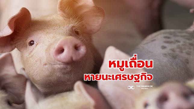 ต้องระวัง! ขบวนการหมูเถื่อน สร้างหายนะเศรษฐกิจ สัตวแพทย์สาธารณสุข หนุนปราบปรามต่อเนื่อง