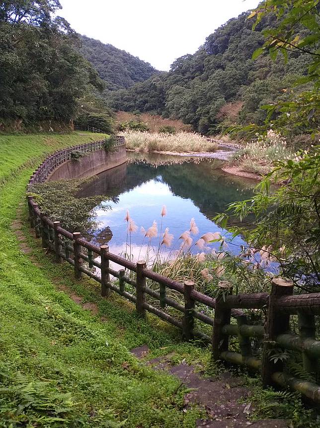 ▲潭灣古道芒花盛開時的美景（圖/星期五體育課粉絲團） 