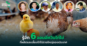 อัศวินไข่