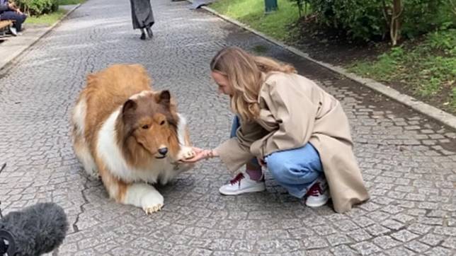 男子首度穿牧羊犬裝前往公園。（圖／翻攝自動物になりたいYouTube頻道）