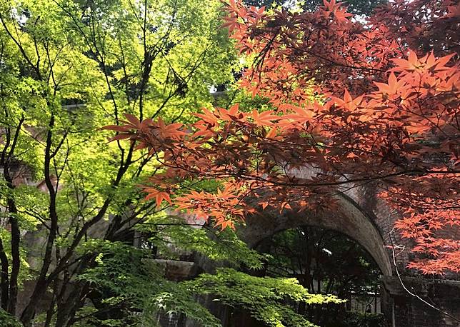 在南禪寺的水路閣前，即使是夏天也能看見紅綠交錯的景象。｜圖片來源：吳胖達  
