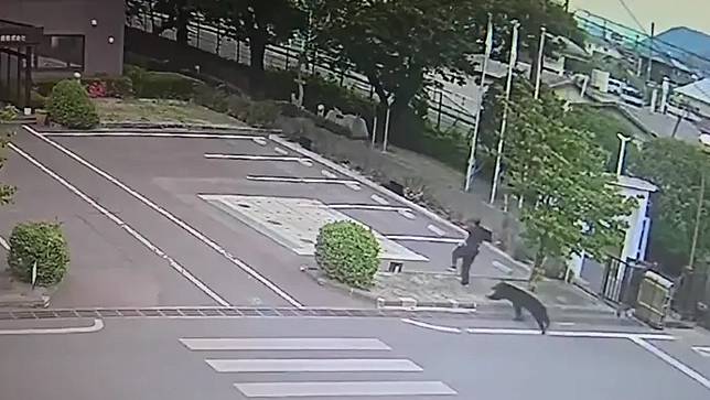 ▲日本福島縣福島市住宅區2日接連發生黑熊攻擊事件，一頭闖入市區的黑熊短時間內接連襲擊4名民眾，造成1人重傷、3人輕傷。（圖／翻攝自X）