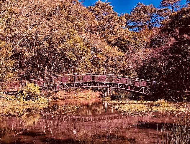 圖片來源：IG @lora_love_travel