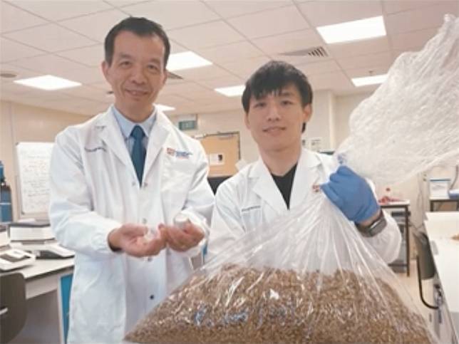 南洋理工大學食品科技計畫主任陳維寧（左）以及高級研究員崔光輝（右）從啤酒的酒糟中提煉出了蛋白質。（圖片來源：南洋理工大學官網）