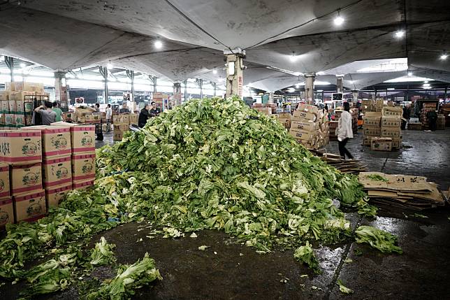 天氣炎熱，刈菜變黃賣相不佳，乏人問津，堆積如山，被當成垃圾處理掉。   圖：張良一/攝