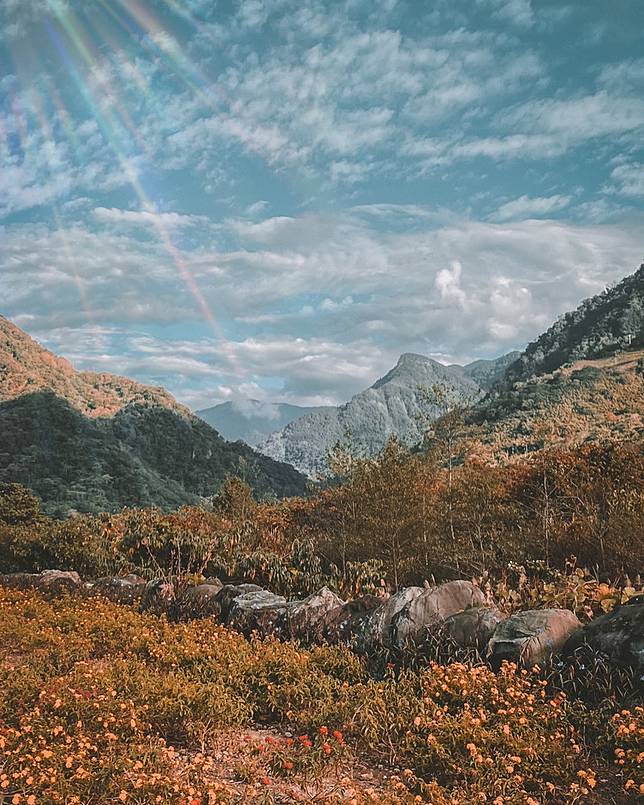 （圖片來源／IG @openqueen601）