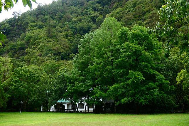 奧萬大綠野山莊和其他住宿房間到7月30日都被訂一空。(南投林管處提供)