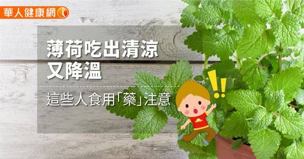 薄荷吃出清涼又降溫　這些人食用「藥」注意