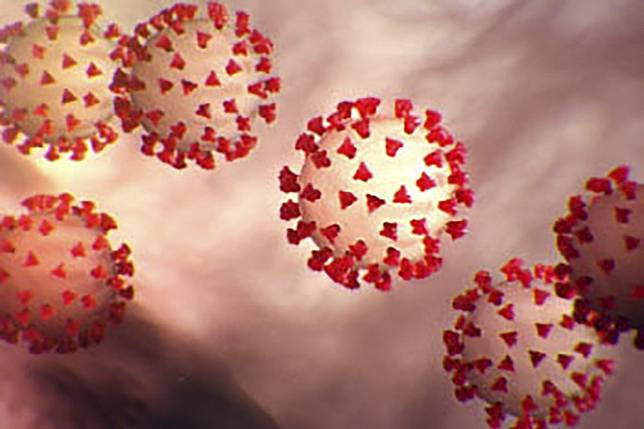 At least 20 countries have reported their first coronavirus cases in the past week. Photo: AFP