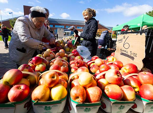 A woman shops for groceries at a farmers' market in Toronto, Canada, on Oct. 15, 2024. (Photo by Zou Zheng/Xinhua)