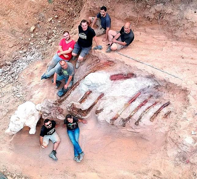 葡萄牙古生物學家挖掘出可能是歐洲歷來所發現最大型的恐龍骨骸化石。（路透）