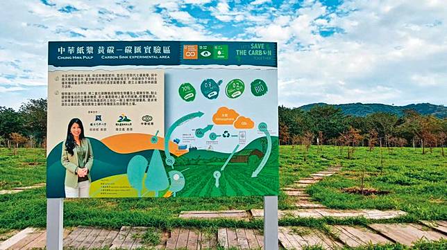 企業對自然碳匯也積極投入，永豐餘旗下華紙在花蓮廠打造0.8公頃的土壤碳匯實驗區，企圖建立黃碳方法學標準。（永豐餘提供）