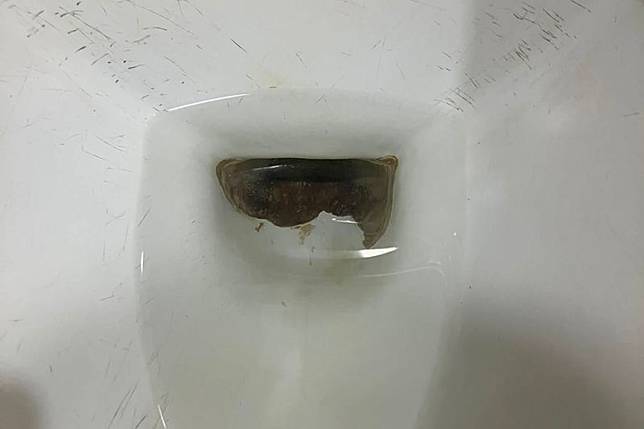 原PO好奇詢問，馬桶污垢該怎麼清理？圖／翻攝自房東互助會臉書