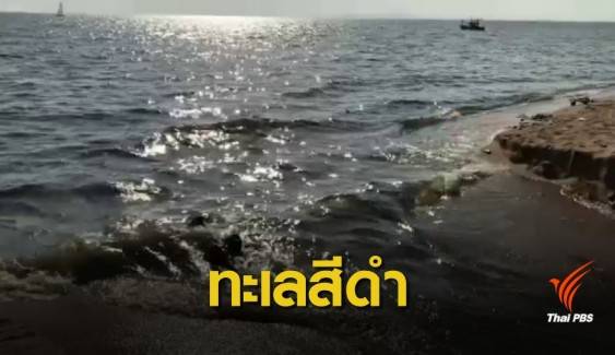 ตามหาต้นตอ “ทะเลสีดำ” หาดจอมเทียน 