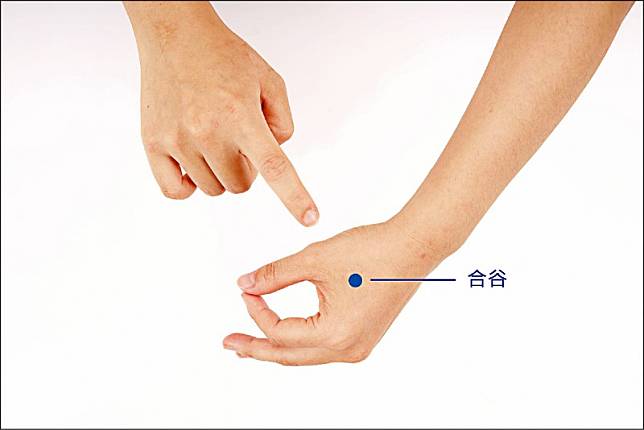合谷位於將拇指與食指併攏，兩手指間會有肌肉隆起的最高點處。(洪國峯醫師提供)