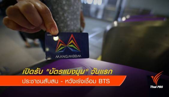 เปิดรับบัตรแมงมุมวันแรก ประชาชนสับสนการรับบัตร