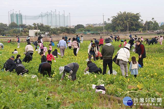 南投市公所舉辦親子拔蘿蔔讓孩子們樂不思蜀。（記者扶小萍攝）