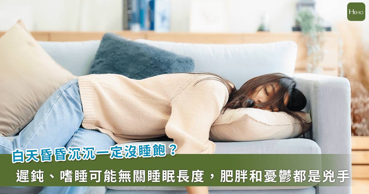 白天疲勞想睡 ≠ 平常睡眠不足！專家提醒：肥胖、憂鬱都是犯睏2兇手 | Heho 健康（台灣） | LINE TODAY - LINE TODAY Hong Kong