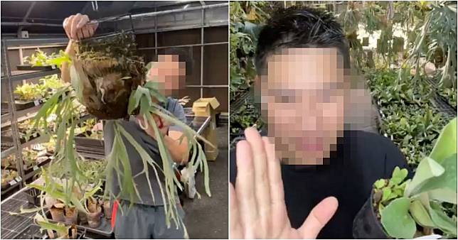 台南園藝店老闆遭到女顧客騷擾。（翻攝自當事者店家臉書粉專）