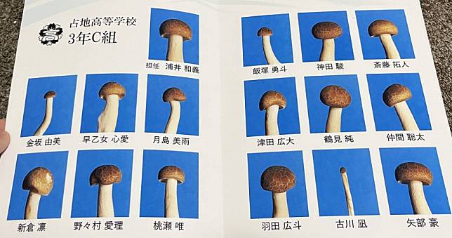 日網紅為鴻禧菇拍「畢業紀念冊」　影片瘋傳笑翻百萬人