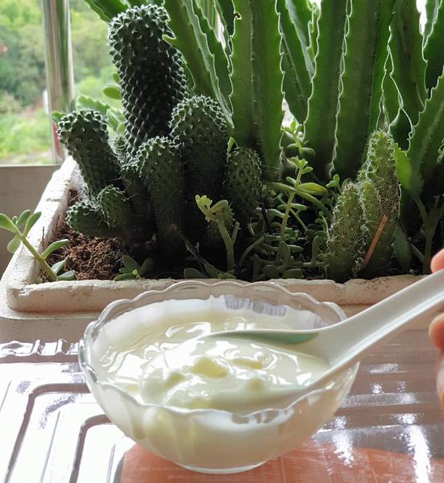 圖片提供/LINE熱點