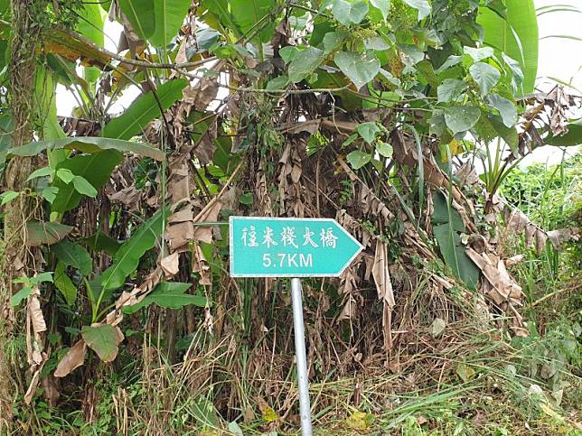 南側登山口需先走一段花38-1才能抵達