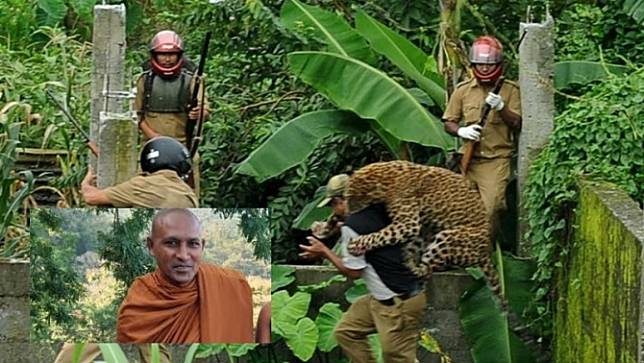 จนท.ป่าไม้อินเดียเผยเสือดาวกัดพระภิกษุชาวอินเดียมรณภาพขณะนั่งสมาธิในป่า