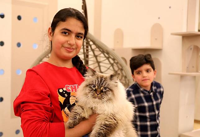 A customer poses for a photo at a cat cafe in Baghdad, Iraq, Jan. 20, 2025. (Xinhua/Khalil Dawood)