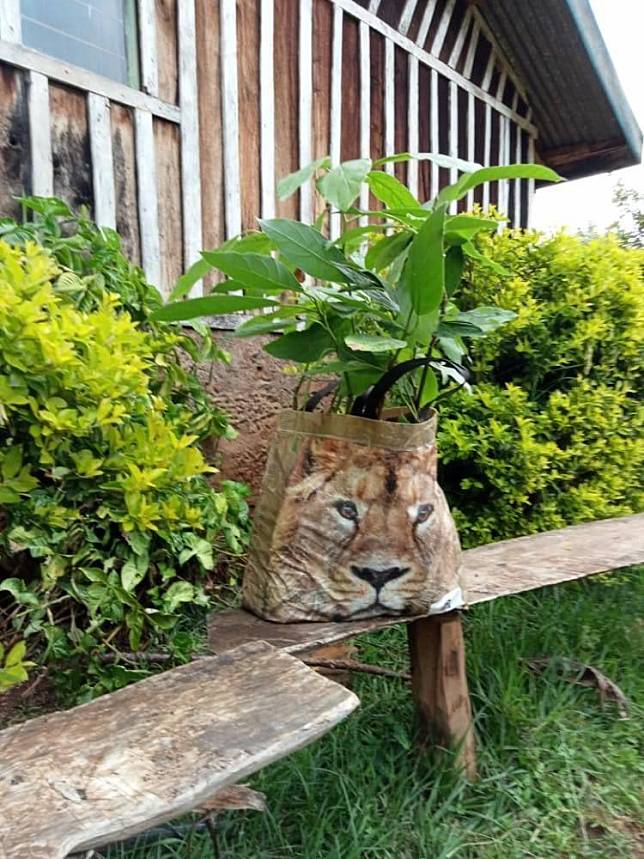 農場主人將樹苗裝在印有獅子頭像的購物袋裡。（翻攝肯亞野生生物服務署推特 @kwskenya）