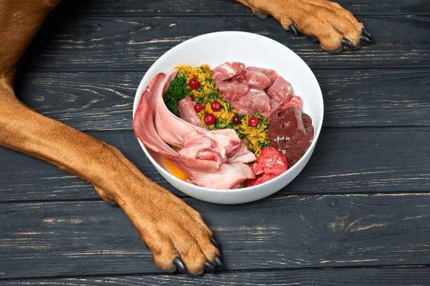 寵物生食以未加工的肉類、內臟和骨骼為主。圖:istockphoto