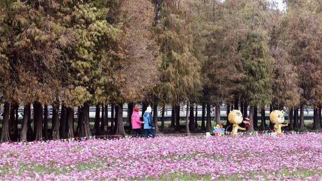 〈春節何處去〉來台南記得有落羽松秘境、鹽山雪人還有這個博物館