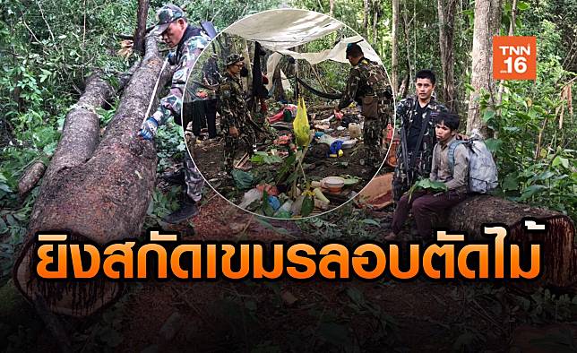 ยิงสนั่นป่า ! บุกจับชาวเขมรข้ามแดนตัดไม้หวงห้ามในเขตไทย