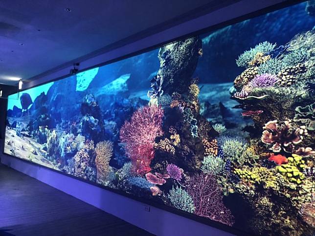潮境智能海洋館是海科館結合新興展示科技與海洋生物的智能水族館。（記者張上耕翻攝）