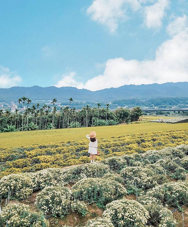 ▲圖片來源：IG@sharon_mylife813