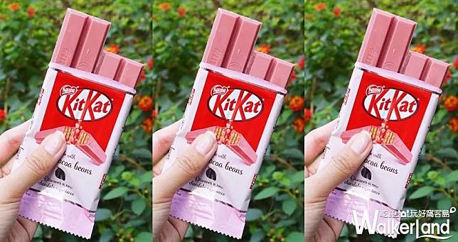 KitKat Ruby / WalkerLand窩客島提供