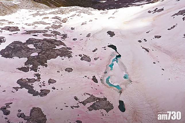 阻反射陽光 勢加速融化 阿爾卑斯冰川變粉紅