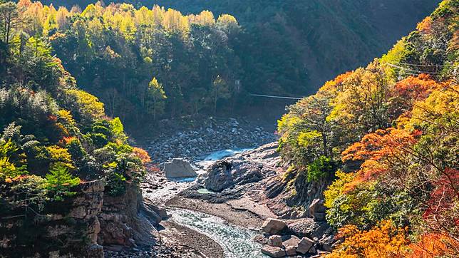 ▲台灣北部賞楓秘境-芝生毛台山步道沿途層層交織的楓紅。 （圖／Tripbaa趣吧！旅遊平台）