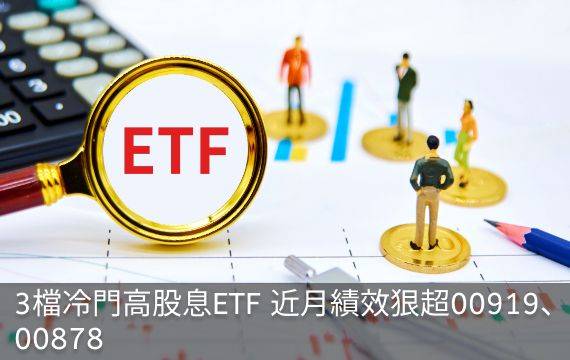 3檔冷門高股息ETF 近月績效狠超00919、00878