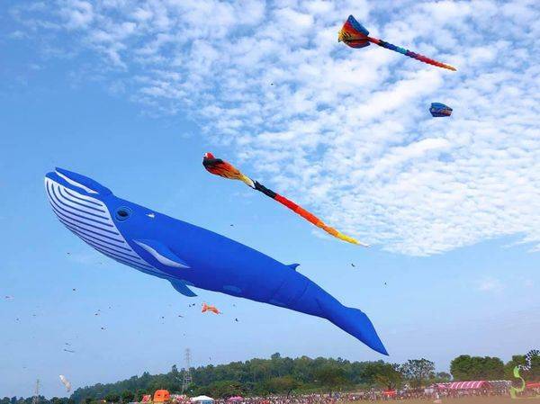 今年屏東風箏節現場將有非常盛大的「風箏展演」。(圖為2020年資料照)   圖：取自屏東縣長潘孟安臉書專頁