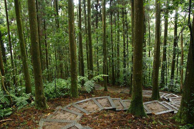 圖片來源：東眼山自然教育中心－環境教育/戶外學習