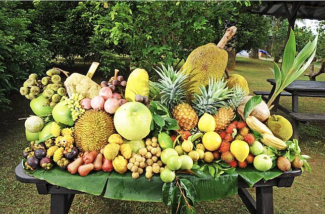 榴槤原產於馬來西亞，是東南亞地區盛產的水果，營養價值高，有「水果之王」美稱。(圖片提供/馬來西亞觀光局)
