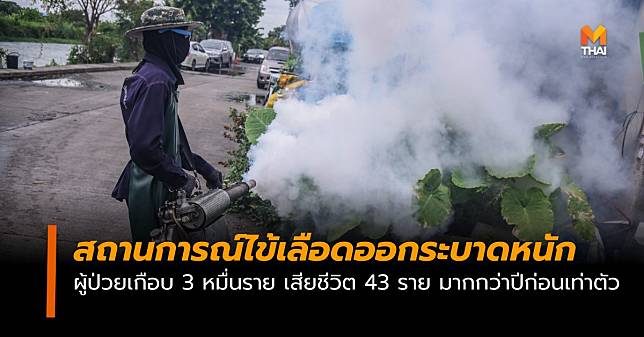 ไข้เลือดออกระบาดหนัก เสียชีวิตแล้ว 43 ราย