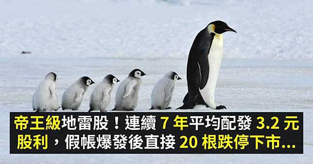 帝王級地雷股！連續 7 年平均配發 3.2 元股利，卻在假帳爆發後直接 20 根跌停下市...