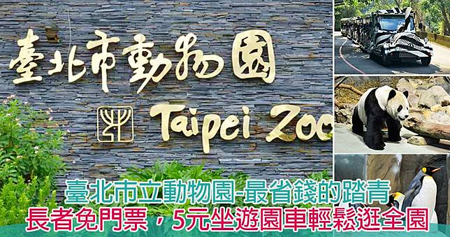 敬老卡坐捷運｜台北市立動物園：暑期夜間延長開放，7月6日起約你一起「夜Fun動物園」！友善長者及輪椅族輕鬆逛攻略